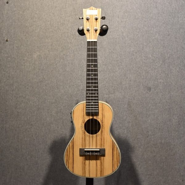 DSC_0008 خرید یوکلله پیکاپ دار