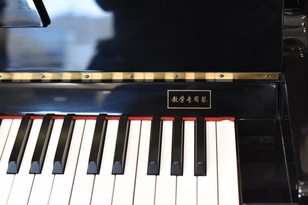 خرید پیانو آکوستیک پرل ریور Pearl River خرید پیانو آکوستیک پرل ریور Pearl River