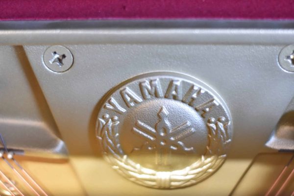 DSC_0171 خرید پیانو یاماها مدل E116T