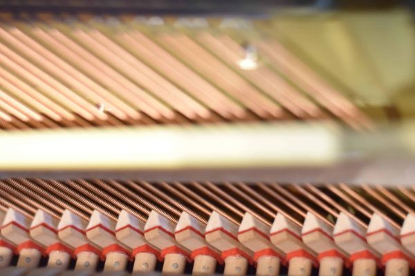 DSC_0175 خرید پیانو یاماها مدل E116T