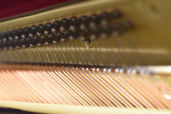 DSC_0176 خرید پیانو یاماها مدل E116T