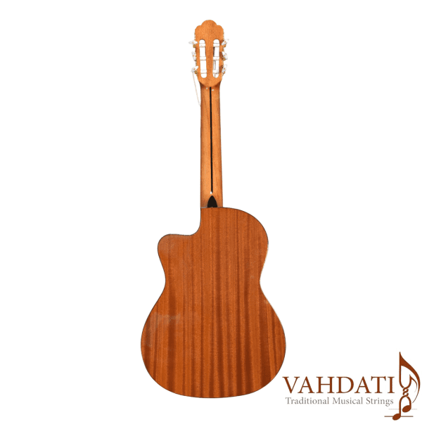 خرید گیتار آریا