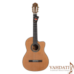 خرید گیتار آریا