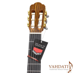 خرید گیتار آریا