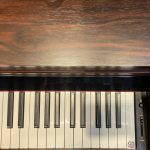 پیانو پرل ریور مدل Pearl River F-53