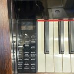 پیانو پرل ریور مدل Pearl River F-53