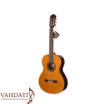 گیتار کاکسن