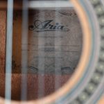 خرید گیتار آریا