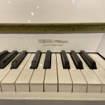 پیانو یاماها P125 کابین شده طرح آکوستیک